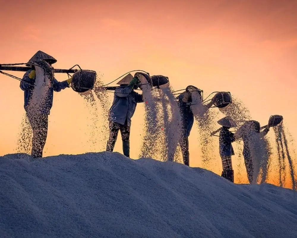 Nha Trang to Hon Khoi Salt Tour 1 Day