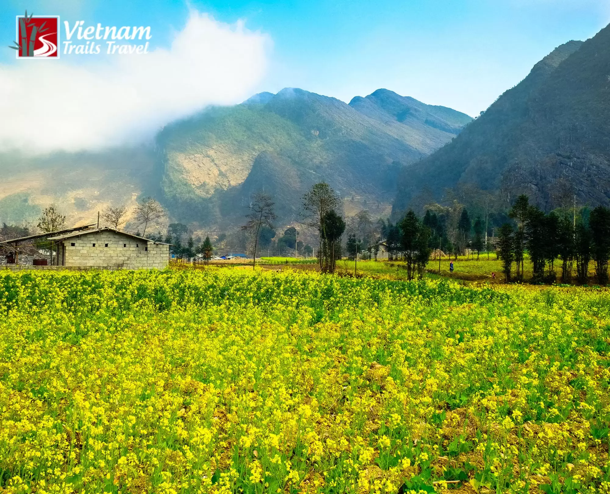 Ha Giang Loop Adventure: A Complete Travel Guide 2026