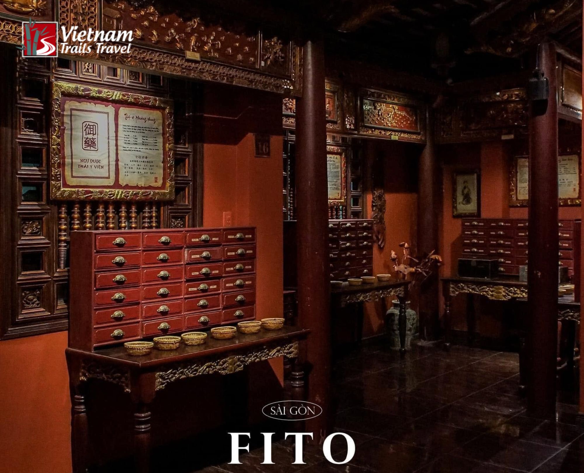 FITO Museum (Museum of Traditional Vietnamese Medicine)