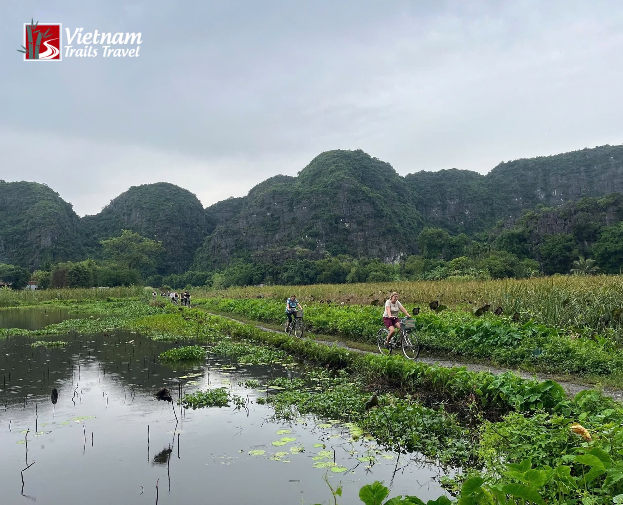 Cycling Ninh Binh on path between lily pond and green fields
