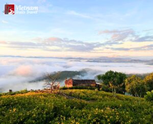 Dalat Travel Guide 2026: Plan Your Trip Like A Local