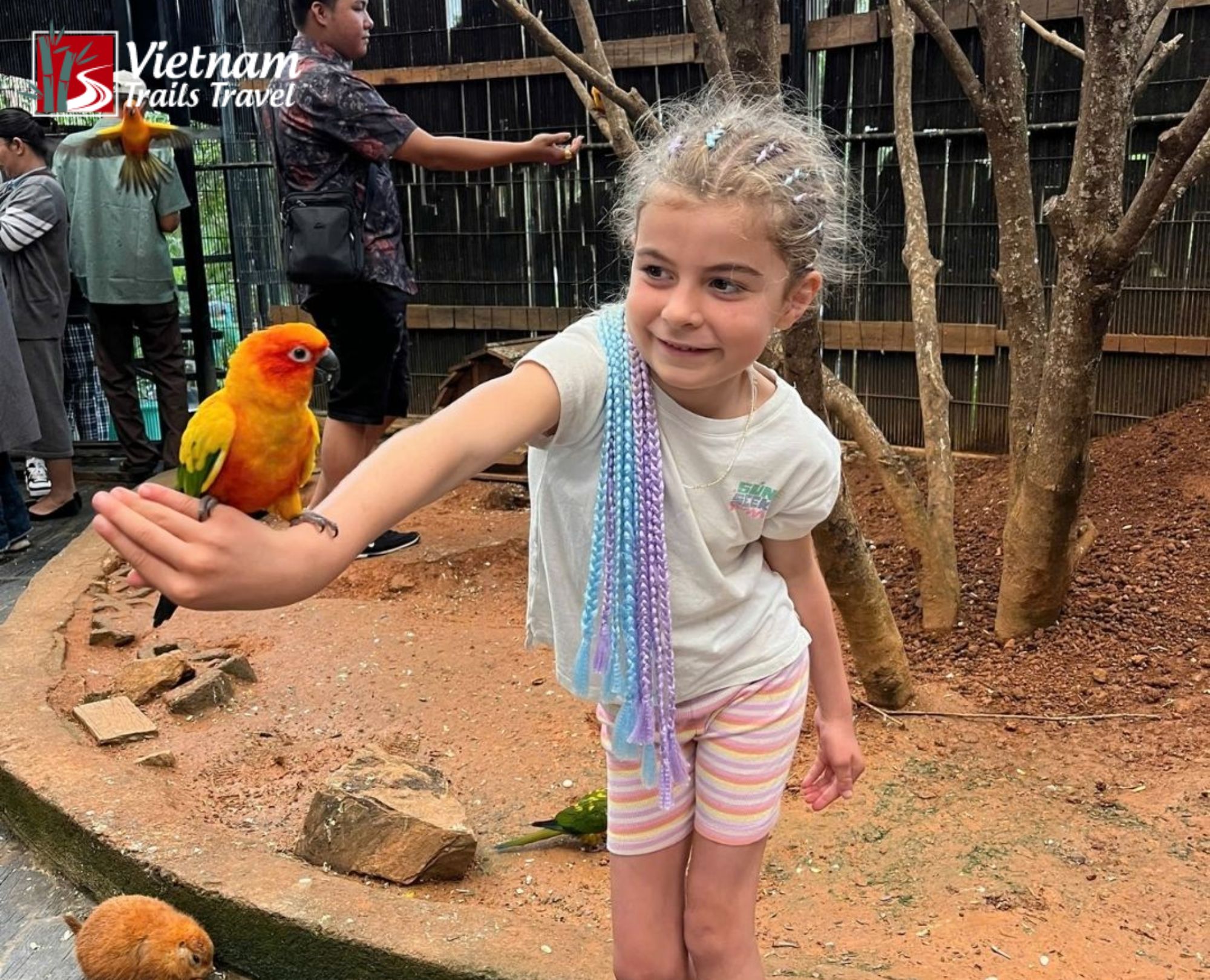 Kid feeding and interacting with a colorful parrot at Puppy Farm in Dalat