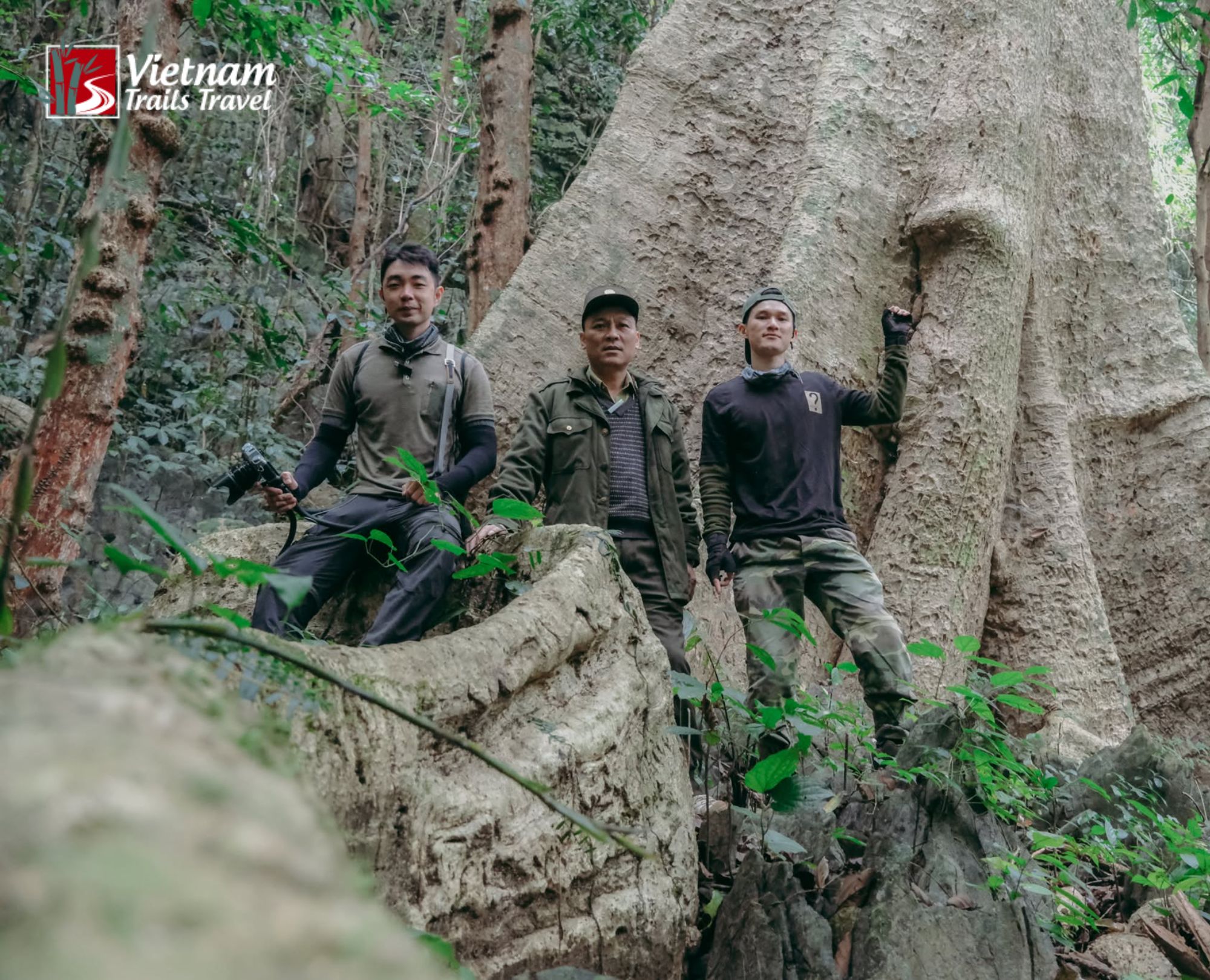 Three hikers by ancient tree trunk in Cuc Phuong National Park