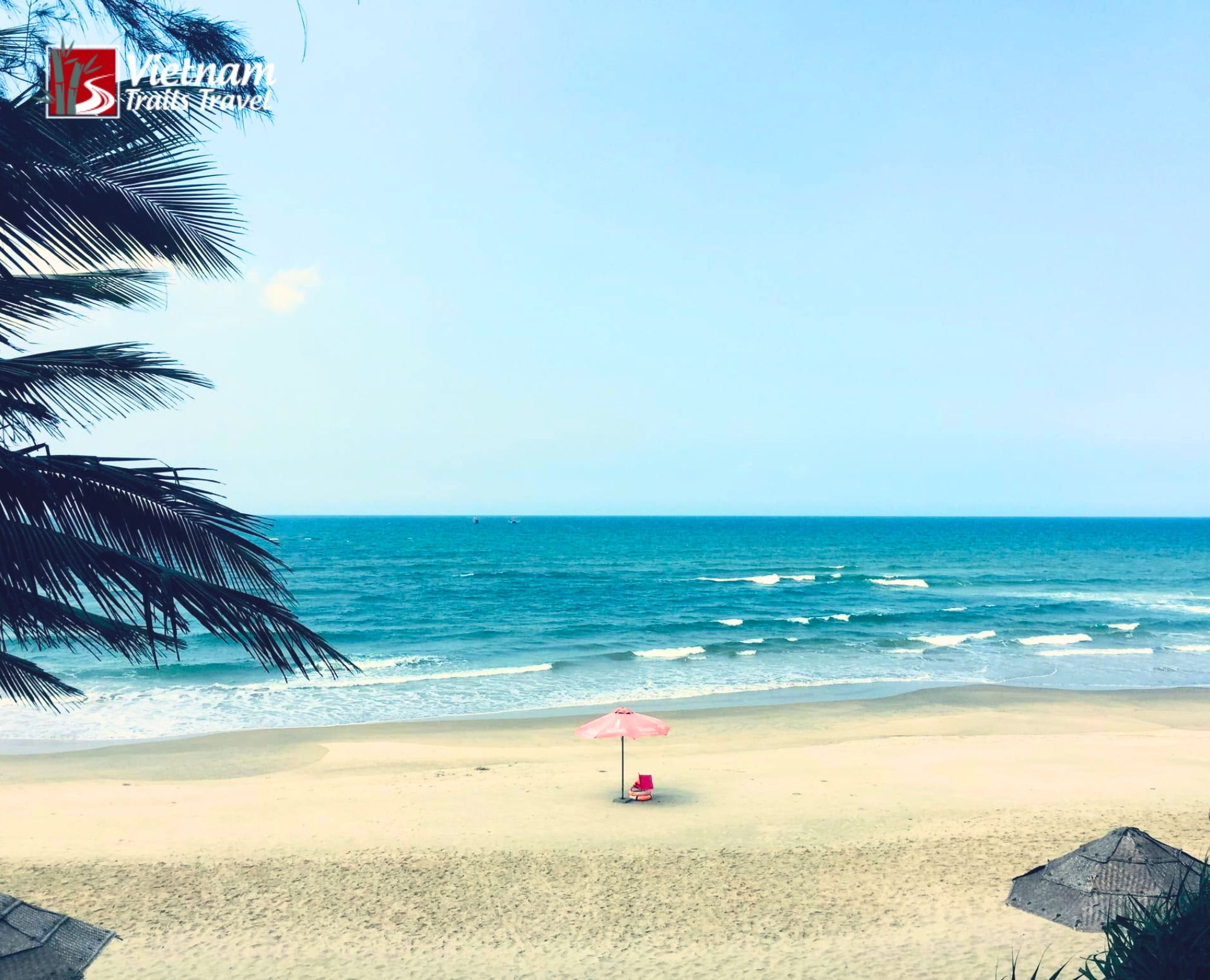 Lang Co Beach Vietnam tropical paradise with palm leaves foreground and calm ocean horizon