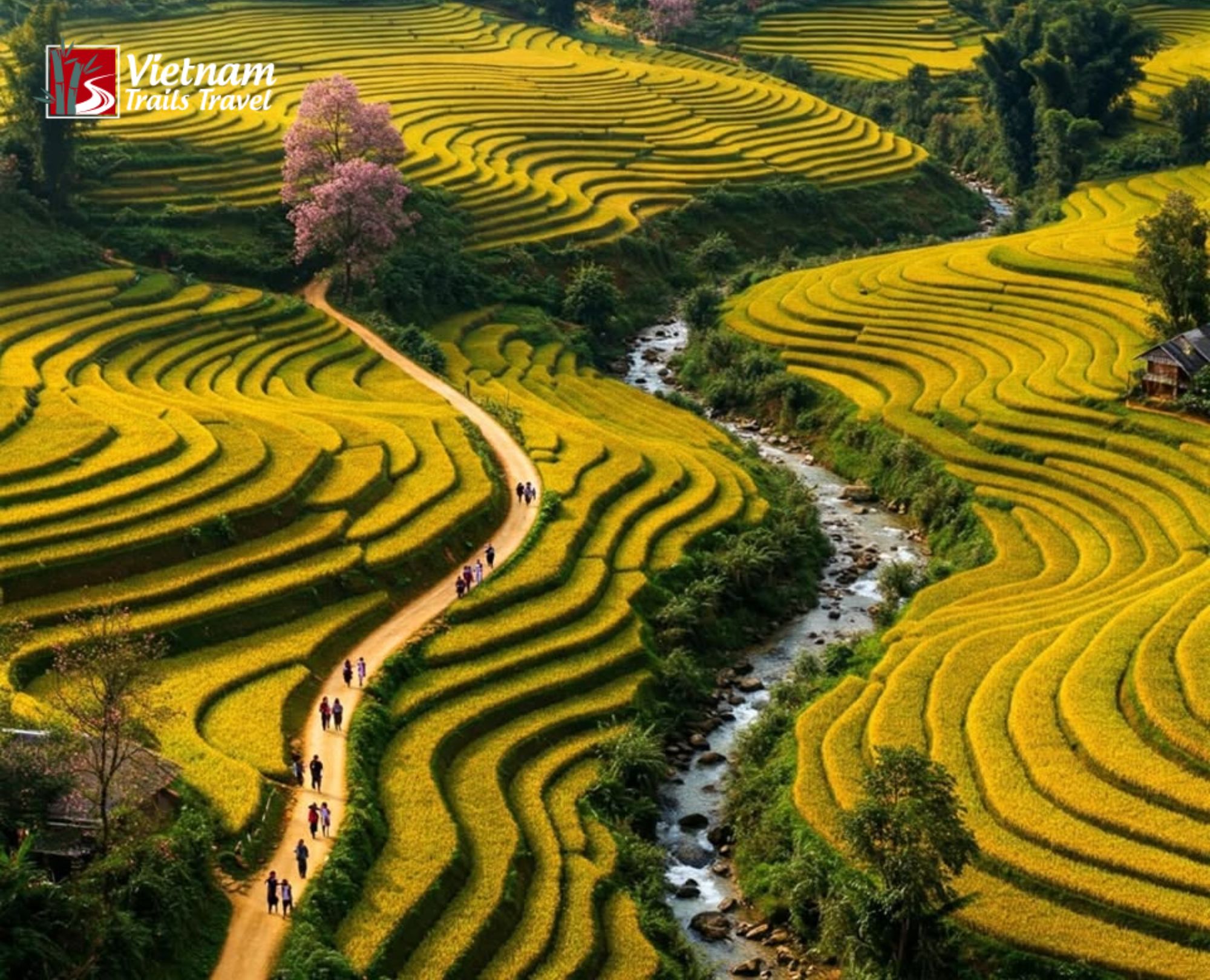 Sapa Trekking Tour 3 Days 2 Nights