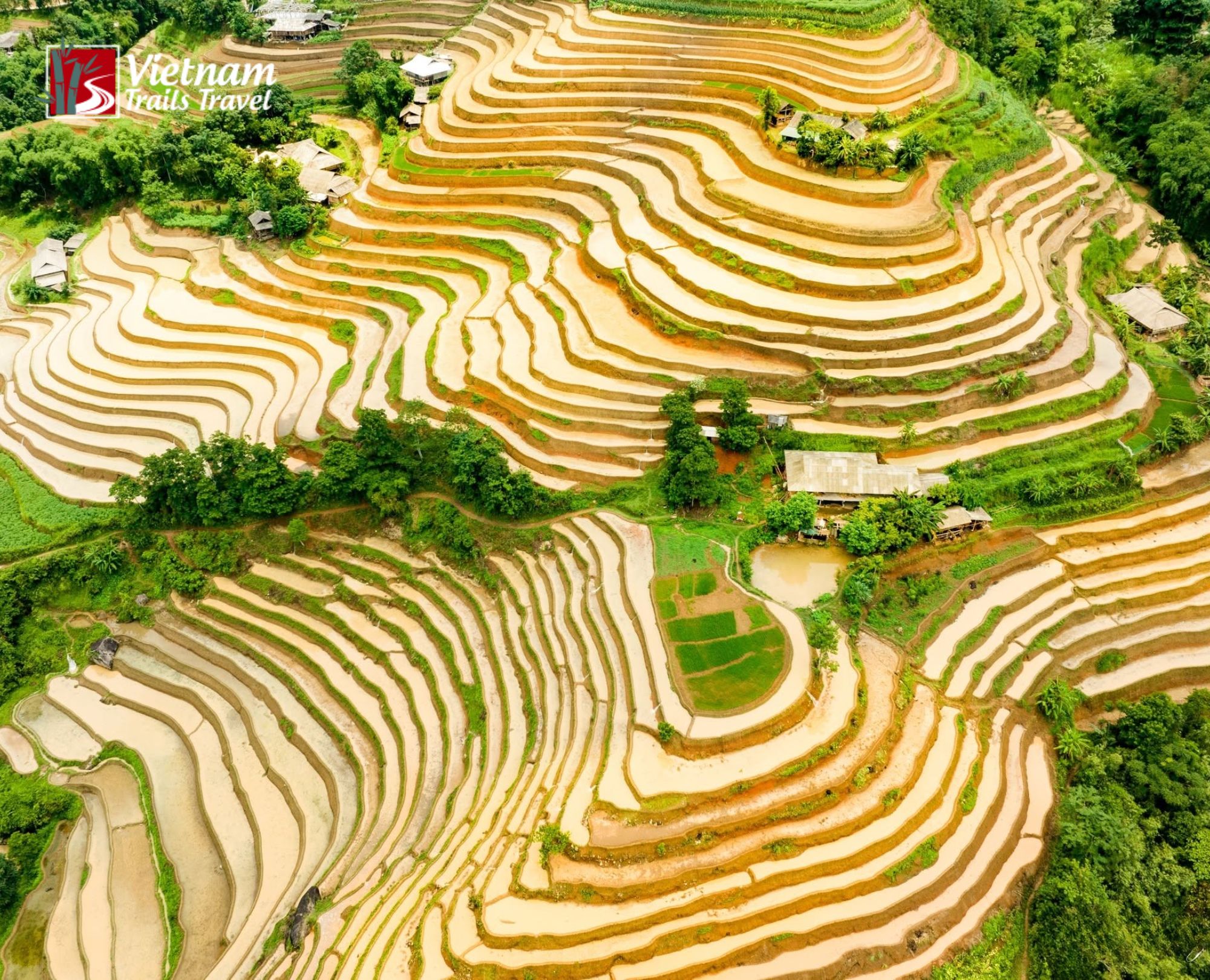 Ban Luoc terraced fields in northern Vietnam, dotted with stilt houses and lush green trees