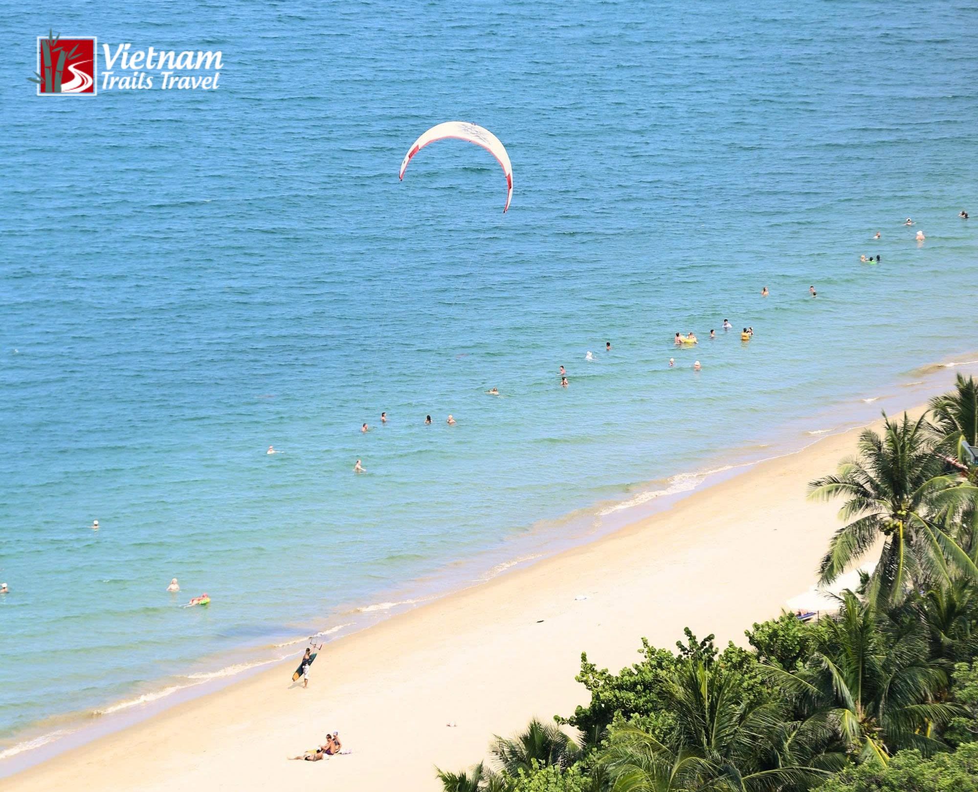 Beautiful coastal view featuring palm trees and clear blue sea at Nha Trang Beach