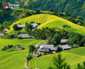 Hoang Su Phi Rice Terraces Ultimate Travel Guide 2027