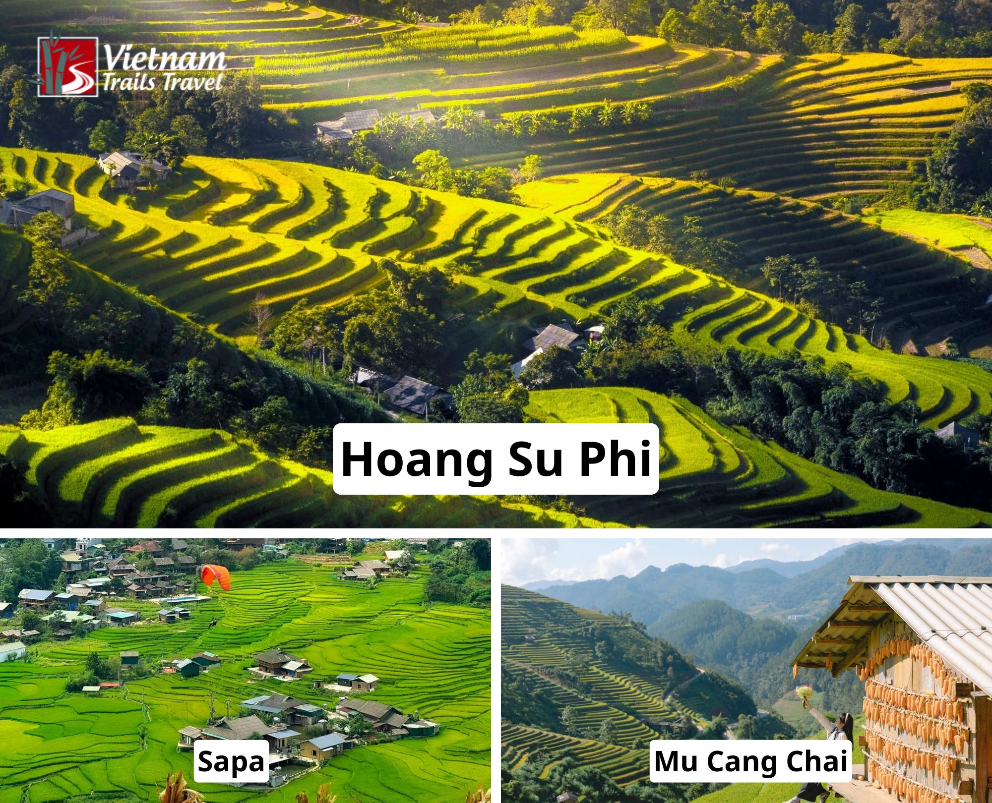 Hoang Su Phi vs Sapa and Mu Cang Chai side by side, from golden hillside terraces to green valleys and steep slopes