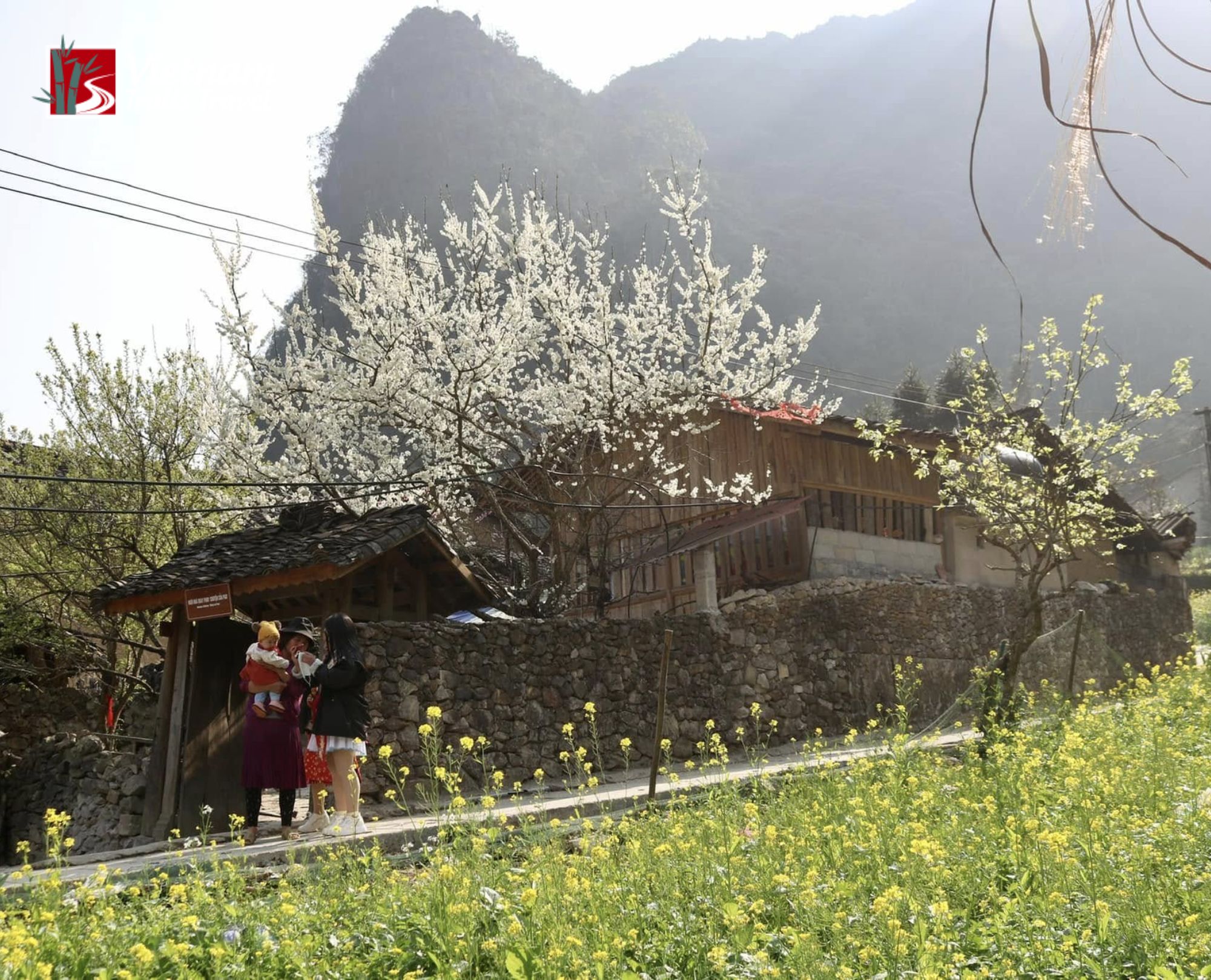 Peach and plum blossom from January to March scene with villagers near a stone wall and traditional wooden houses