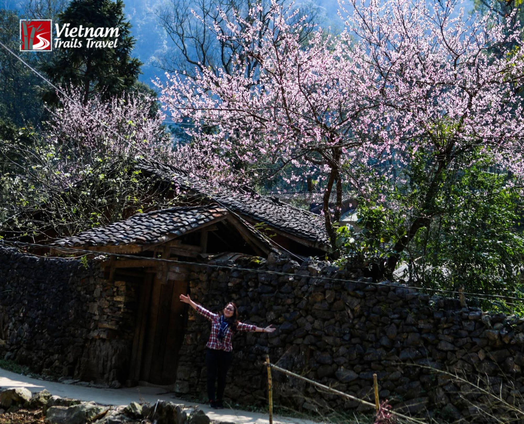 Pink blossoms arch over the pathway that leads to a traditional Sung La homestay