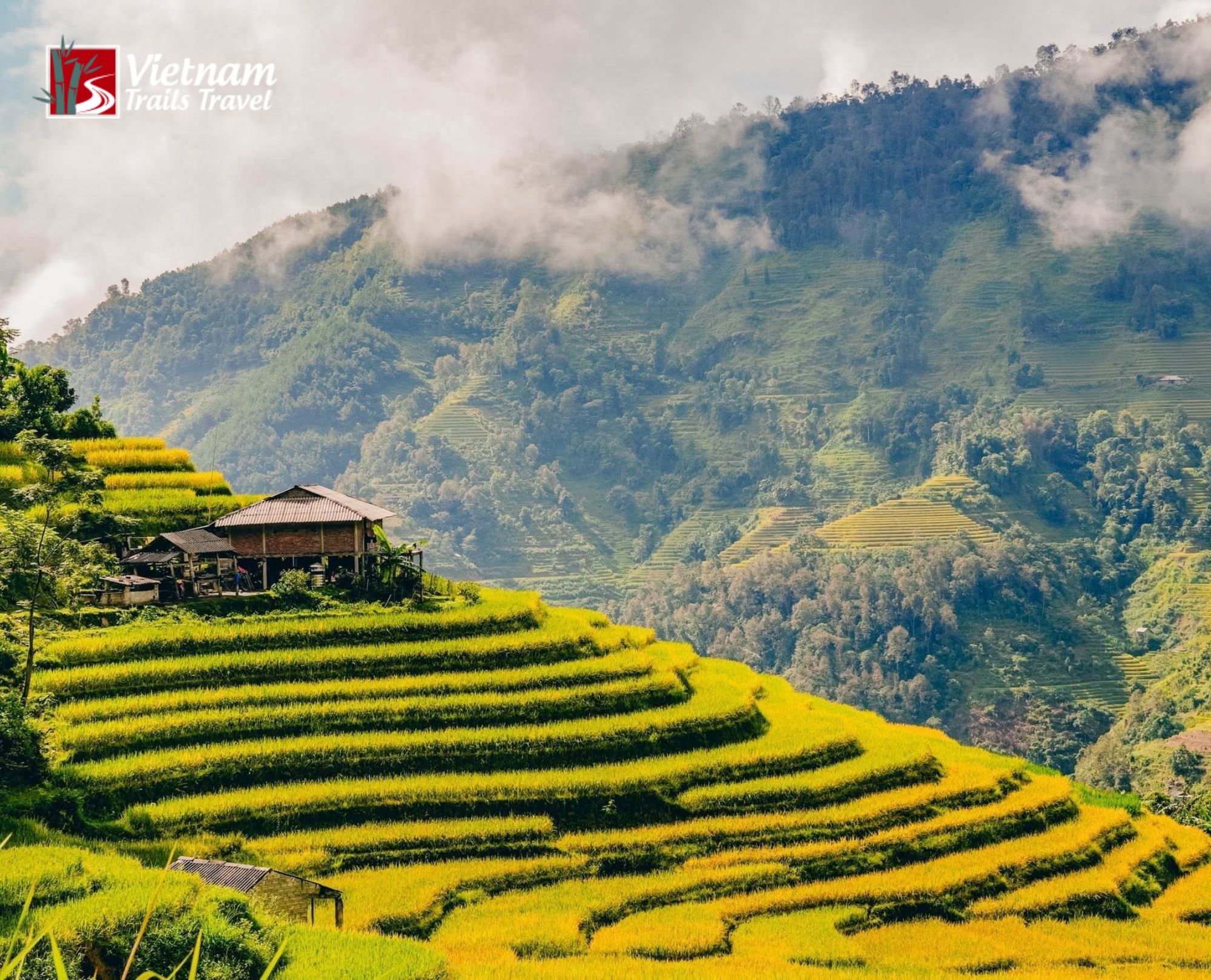 Rice terraces of Hoang Su Phi in Ha Giang Province, Vietnam, where the 2025 administrative name changes took effect