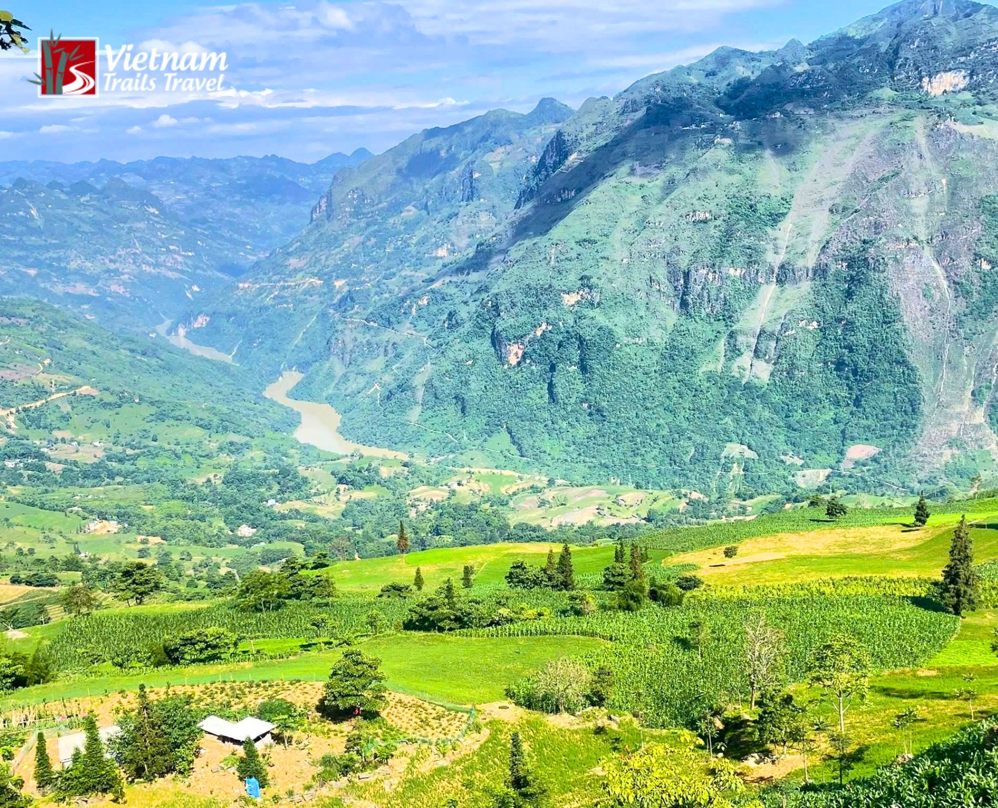 Suoi Thau Grassland located in Xin Man district Ha Giang province featuring rolling green hills and tall pine trees under a clear blue sky