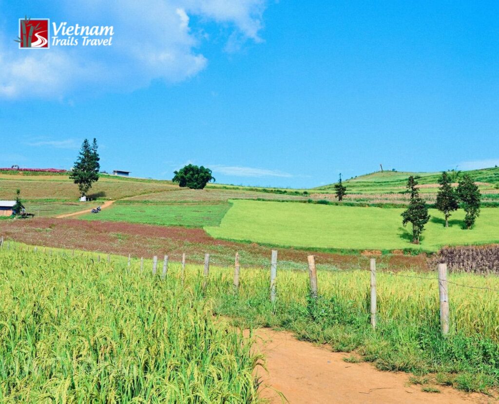 Suoi Thau Grassland: Vietnam’s Little Switzerland