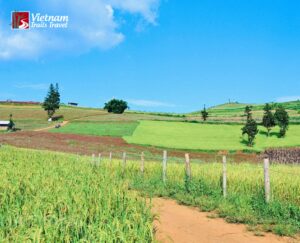Suoi Thau Grassland: Vietnam’s Little Switzerland
